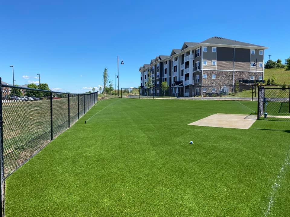 Artificial grass dog park in apartment