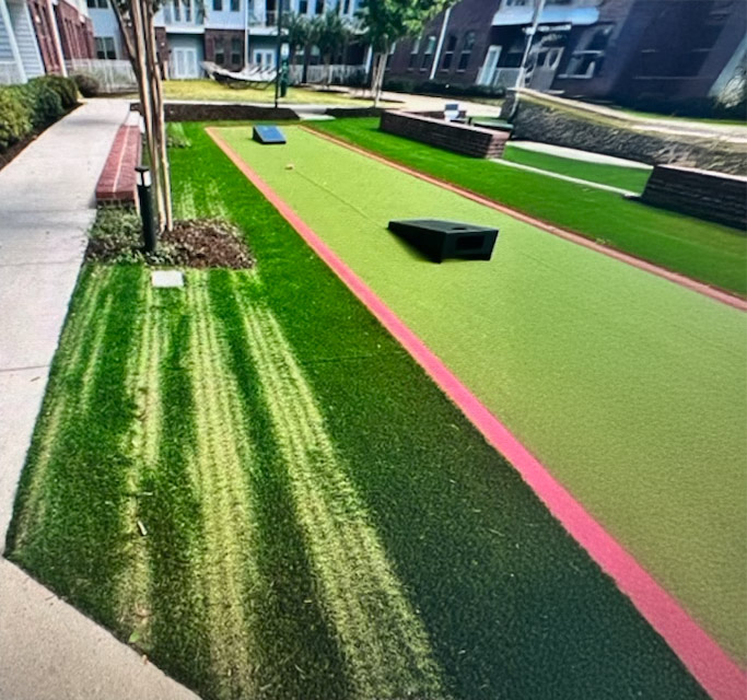 sunlight on turf