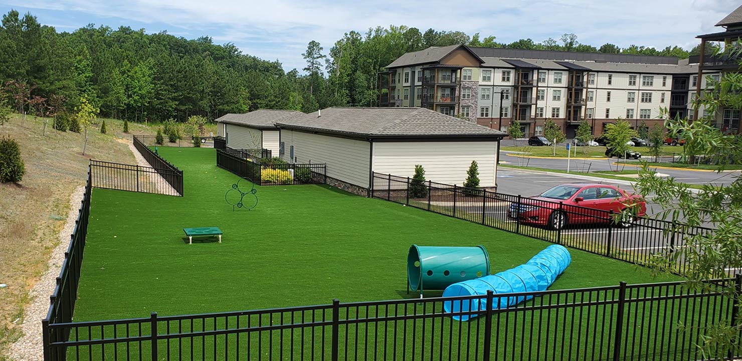 Pet facility with green turf and blue pet agility obstacles 