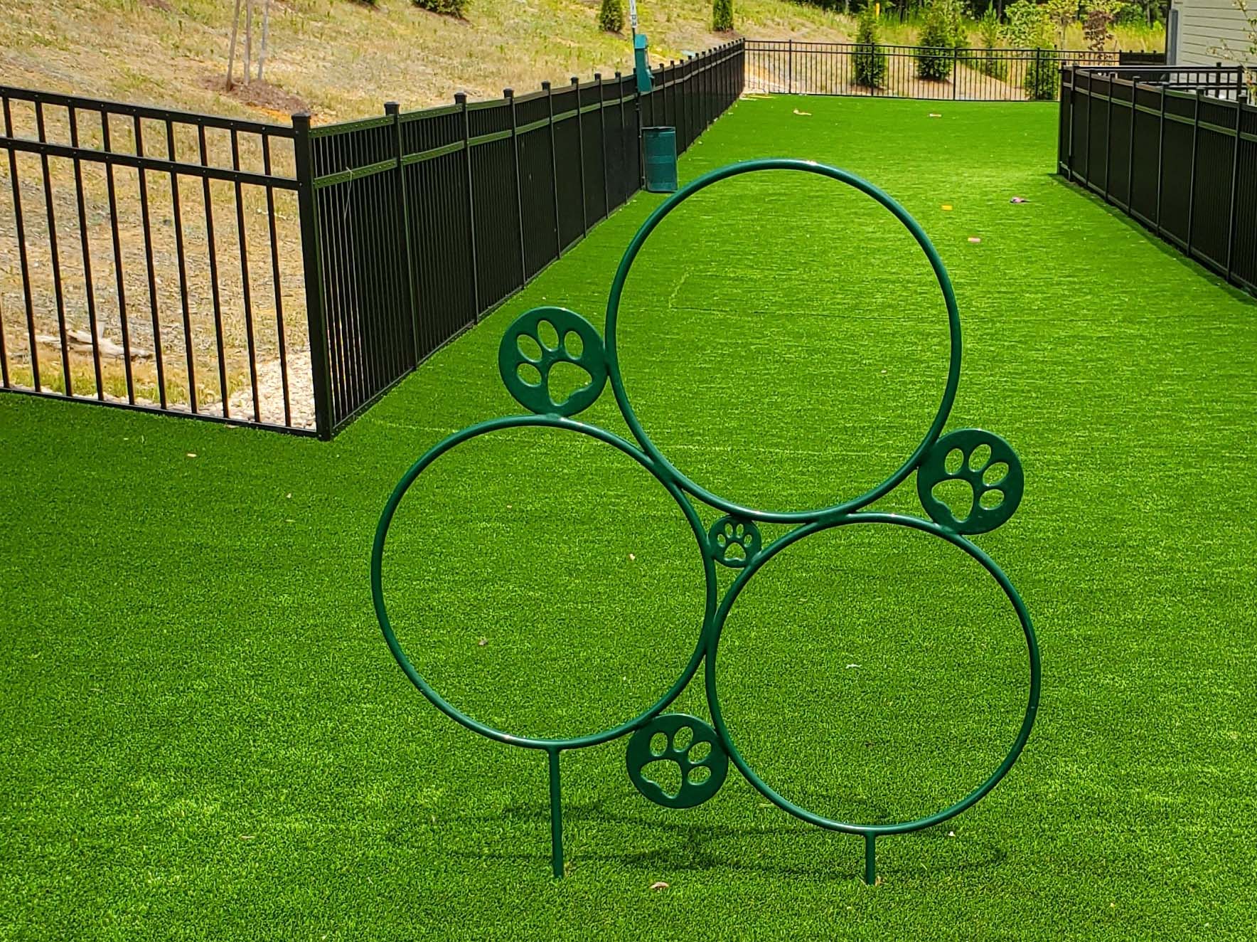 dog-play-turf-area